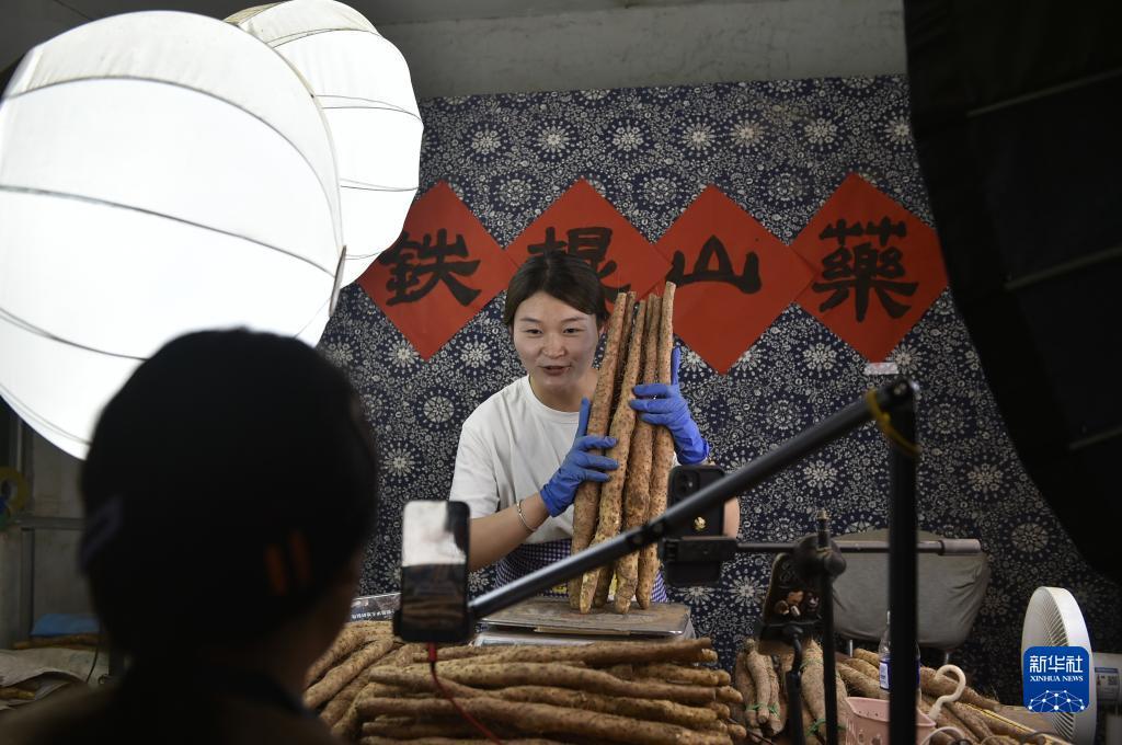 炸金花软件下载